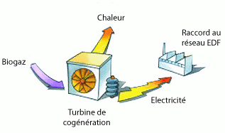 methanisation